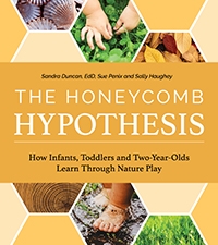 The Honeycomb Hypothesis: How Infants, Toddlers and Two-Year-Olds Learn Through Nature Play (Pre-Order)